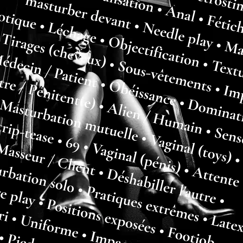 Les catégories kink d'Intiimix
